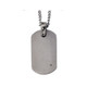 Men's Titanium Dog Tag Pendant Necklace with Diamond Accent and Chain product
