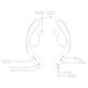 Wireless Neckband Sport Headphones  product