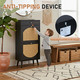 Flip-Top Shoe Cabinet product