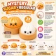 Mystery Slow Rising Squishy Fidget Toy (2-Pack) product