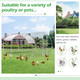 Round-Top Chicken Coop Run product