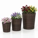Tapered Rattan Planters (Set of 3) product