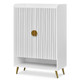 Shoe Storage Cabinet  product