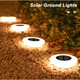 Hal Solar Ground Light (8-Pack) product