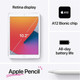 Apple iPad (8th Generation, 10.2", 2020) product