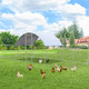Chicken Coop Run Dome Walk-in Metal Chicken Cage product