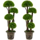 Artificial Cypress Topiary Tree (1- to 2-Pack) product