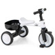 Honeyjoy 2-In-1 Kids' Auxiliary Tricycle product