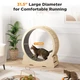 Cat Exercise Wheel  product