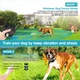 Wireless Dog Fence and Training Collar product