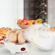 Electric Egg Cooker  product