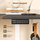 Electric Standing Desk  product