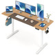 Electric Standing Desk  product