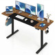 Electric Standing Desk  product