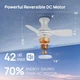 Consciot Ceiling Fan  product