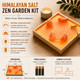 Himalayan Salt Rock Zen Garden Kit product
