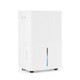 Dehumidifier with Drain Hose  product
