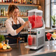Commercial Slushy Machine  product