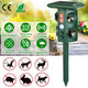 Solar Ultrasonic Animal Repeller product