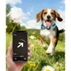 Pet Tracking Collar - Heavy-Duty Nylon Dog Collar with Reflective Strap product