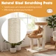 Rattan Retreat Cat Tree product