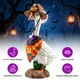 Porch Goose Halloween Costume product