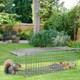 Humane Animal Trap Cage (2-Pack) product
