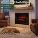 Wi-Fi Fireplace Insert  product