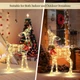 Lighted Christmas Deer with 50 White or Yellow LEDs product