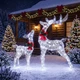 Lighted Christmas Deer with 50 White or Yellow LEDs product
