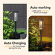Waterproof Solar Garden Stake Lights product