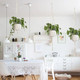 Macrame Plant Hangers product