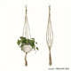 Macrame Plant Hangers product