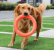 Heavy Duty Dog Ring Toy product