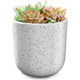 Indoor/Outdoor Speckled Ceramic Pot for Plants product