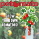 Petomato™ Hydroponic Plant Growing Kit product