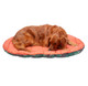Stuff Sack Travel Pet Bed with Bag  product