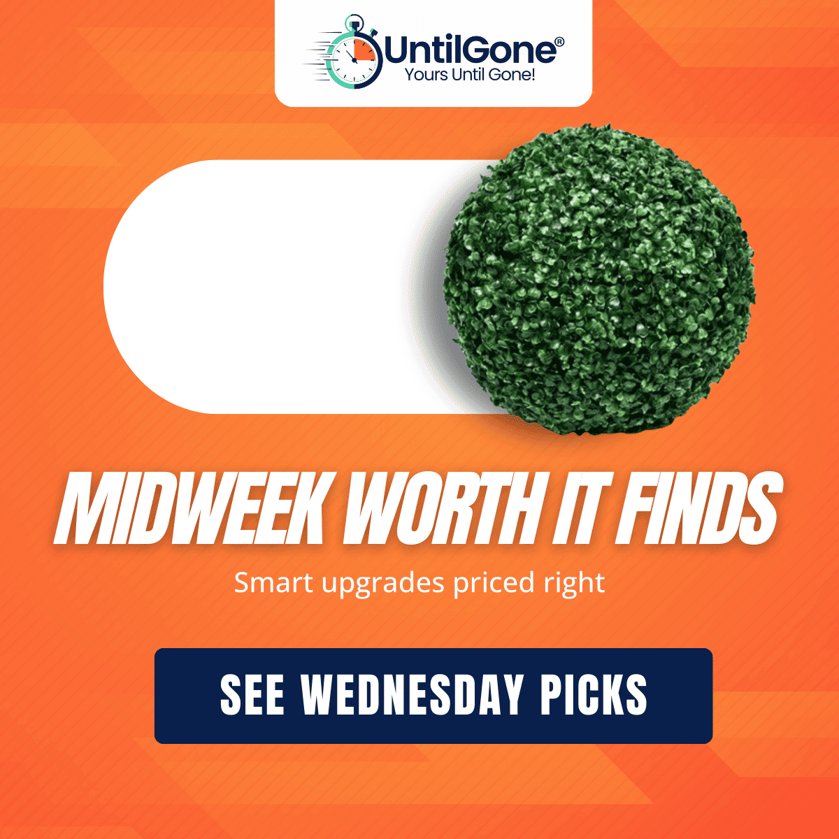 Your Week Handpicked