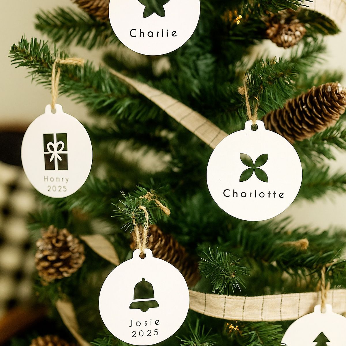 Keepsake Name Disc Ornament (5-Pack) - 6 inch / White Powder Coat