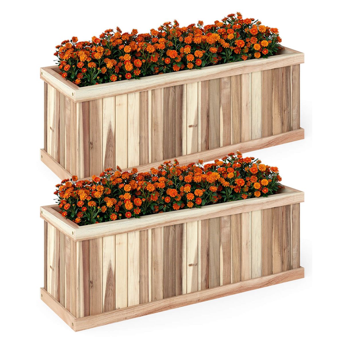Acacia Wood Raised Garden Bed (1 or 2-Pack) - 2 PCS
