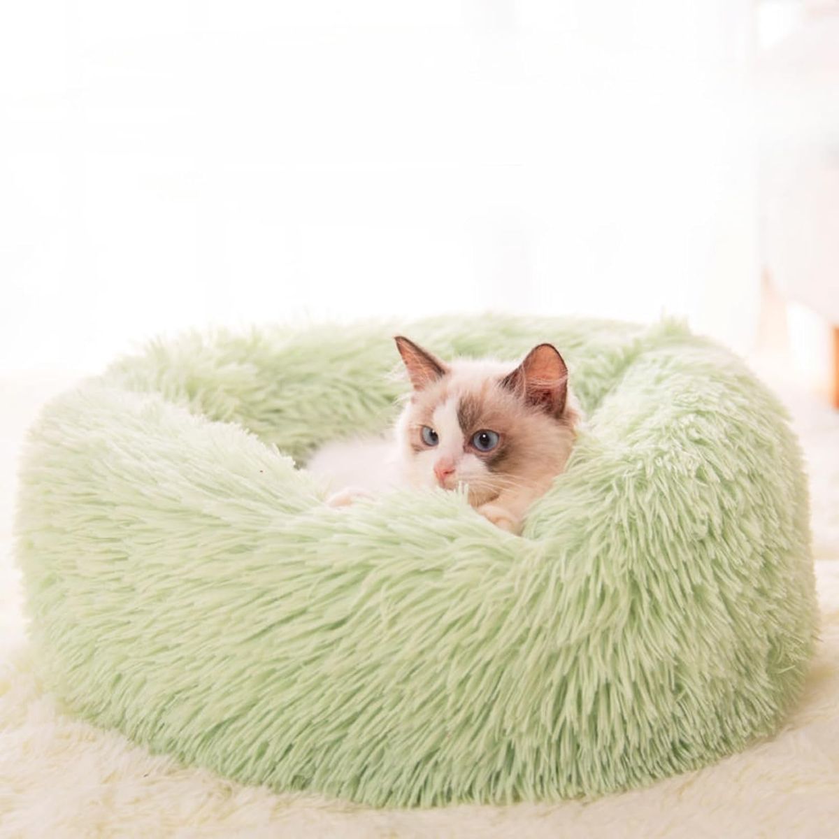 Fluffy Round Pet Bed  Mint GreenXS