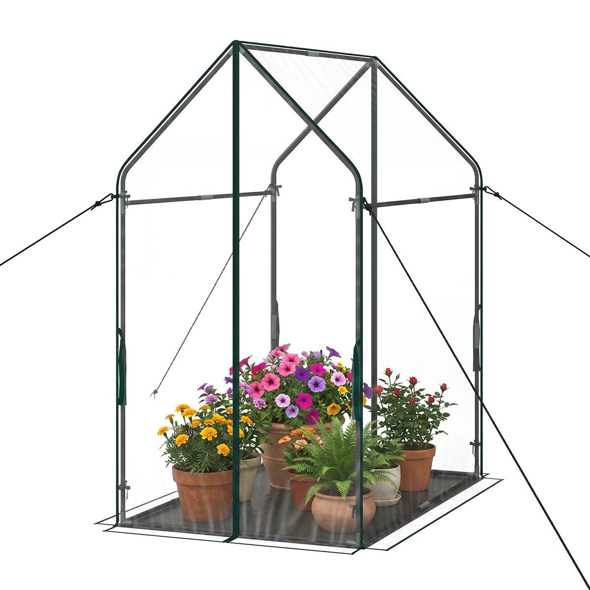 Portable Mini Green House   36 x 36 x 60