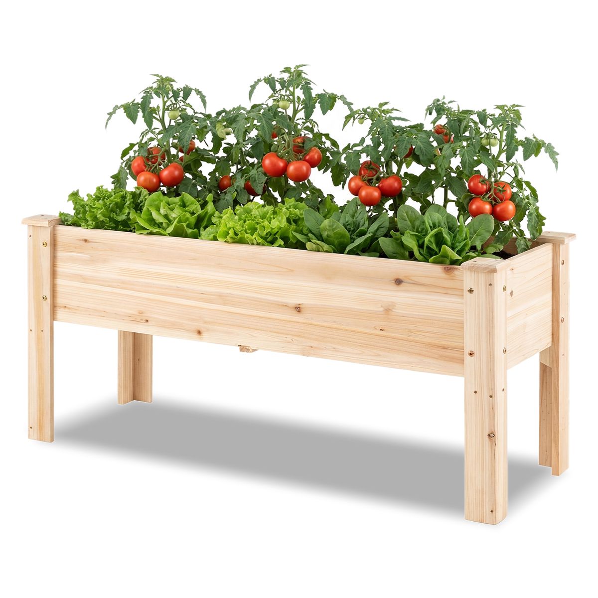 Wooden Raised Garden Bed (1- to 2-Pack) - Garden Bed-1