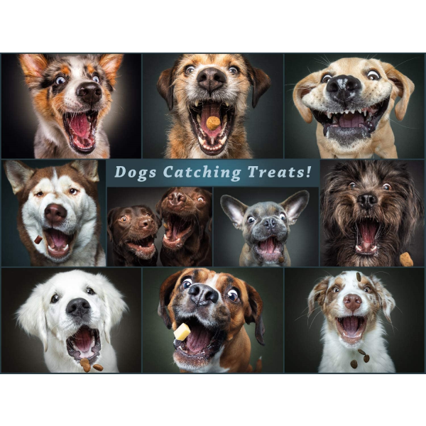 Dog-themed 750-Piece Jigsaw Puzzle - Catching The Perfect Treat