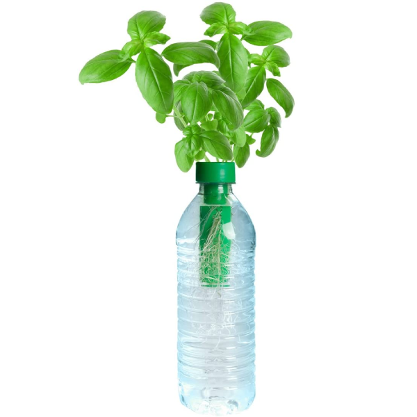 Petomato&trade; Hydroponic Plant Growing Kit - Basil