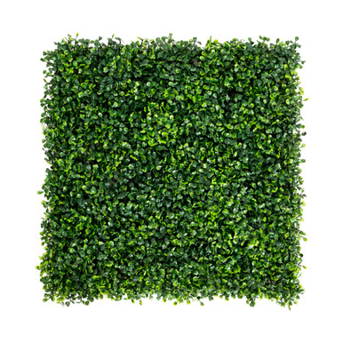 Artificial Boxwood 20'' x 20'' Hedge Wall Panels (Set of 12)