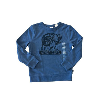 GAP Boy's Terry Pullover Sweatshirt - Medium (8)