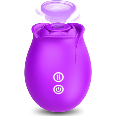 Rose Toy Clitoral Sucking Vibrator - 10 Speed with USB Charge Waterproof G SPOT Purple