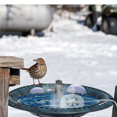 iMounTEK&reg; 70W Automatic Bird Bath Heater