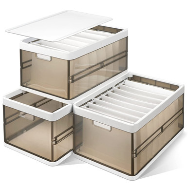 Foldable Storage Bins with Lids (3-Pack)
